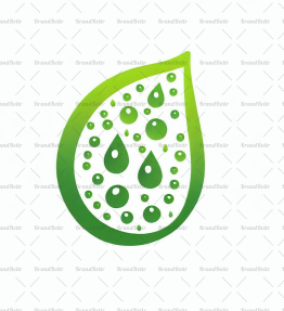 Tautropfen auf einem Blatt